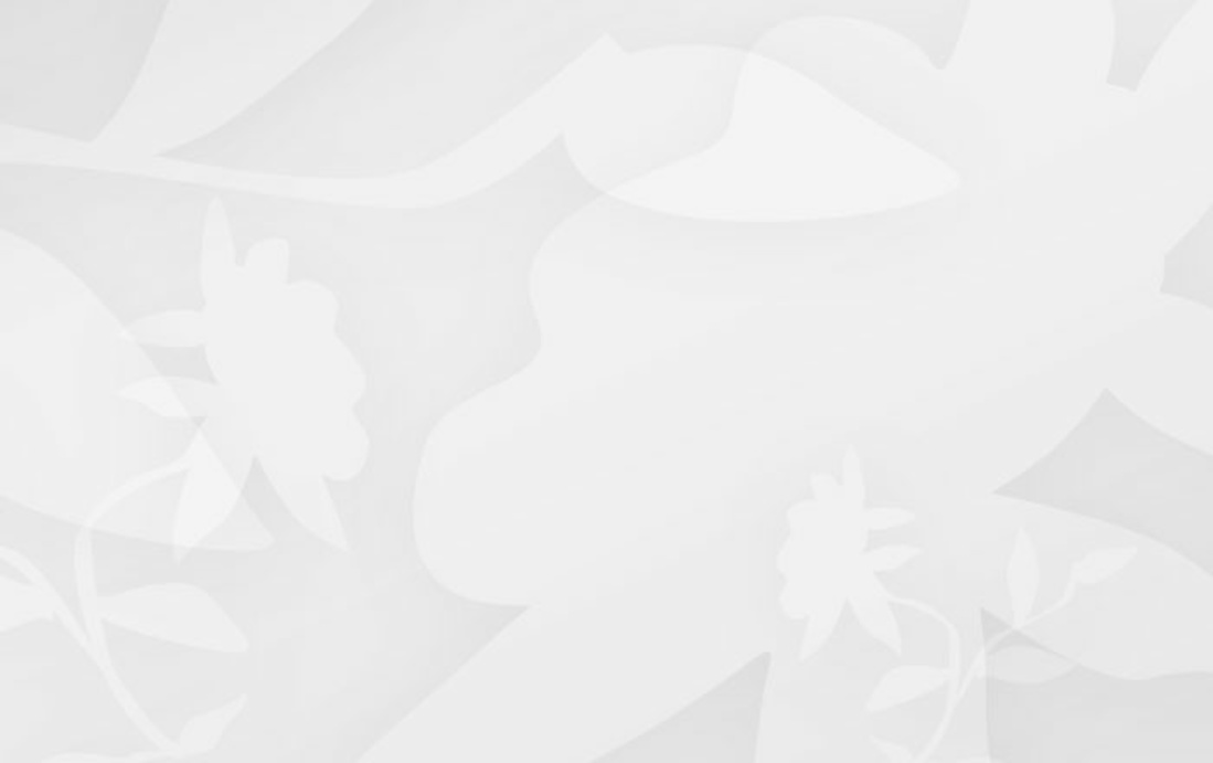 Beispielblogbeitrag mit Bild